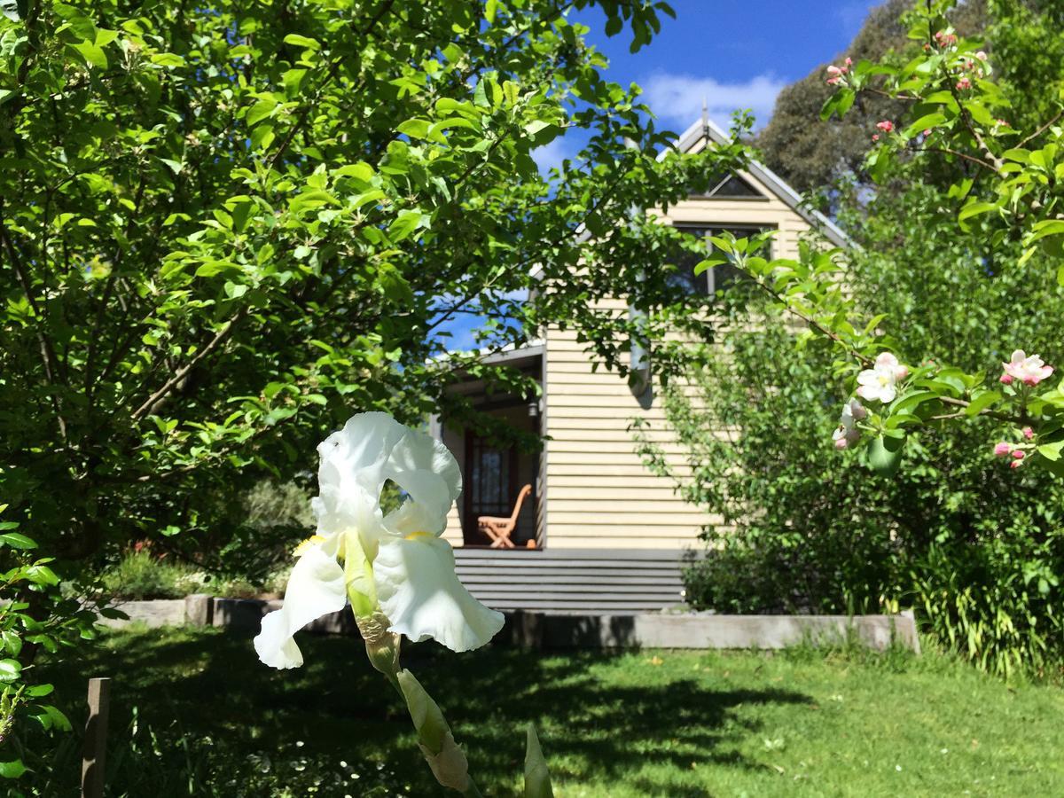 Brigadoon Cottages Haunted Hills Exterior foto